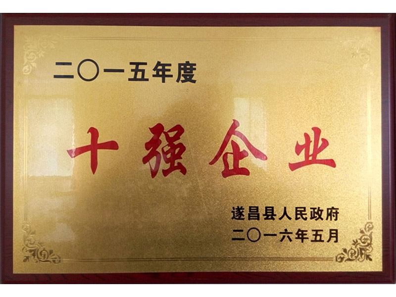 正中2015年度遂昌十强企业