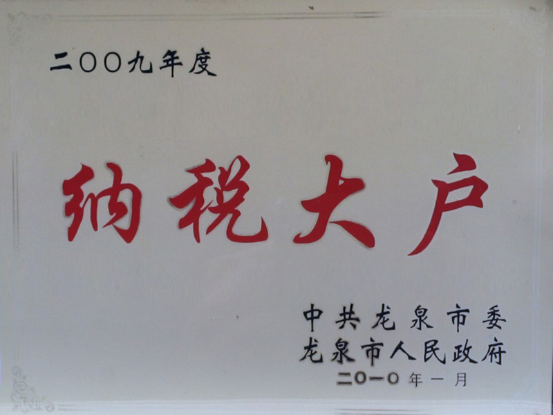 2009年纳税大户